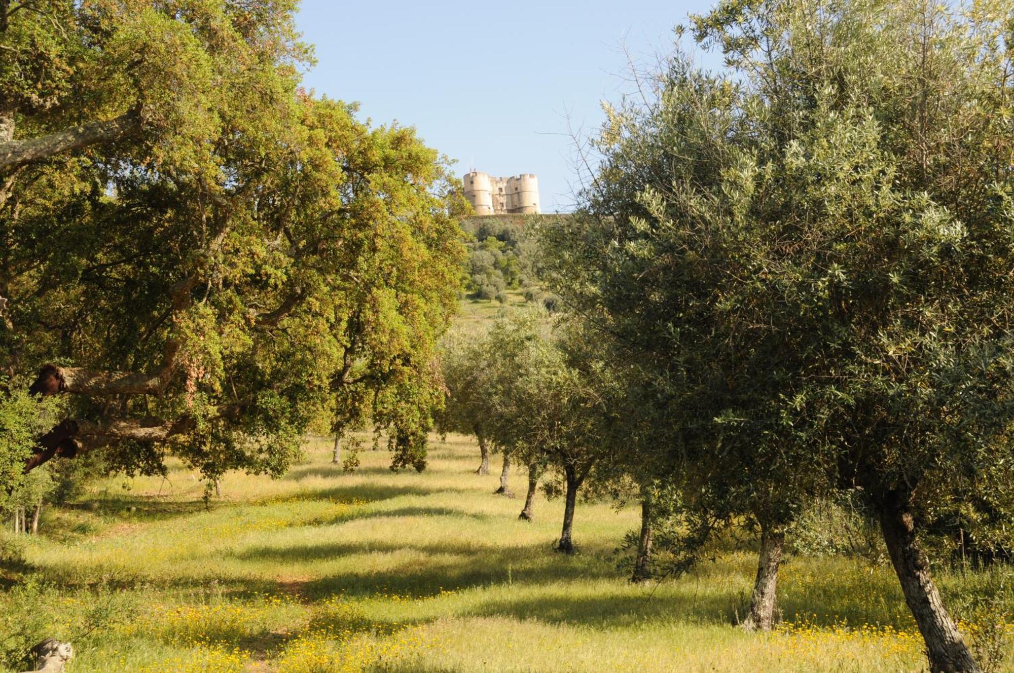 הוילה אסטראמוז Quinta De Evoramonte מראה חיצוני תמונה